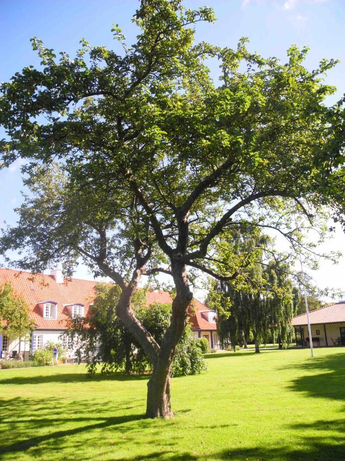Inspiration Center Denmark, Bed & Breakfast มาริโบ ภายนอก รูปภาพ
