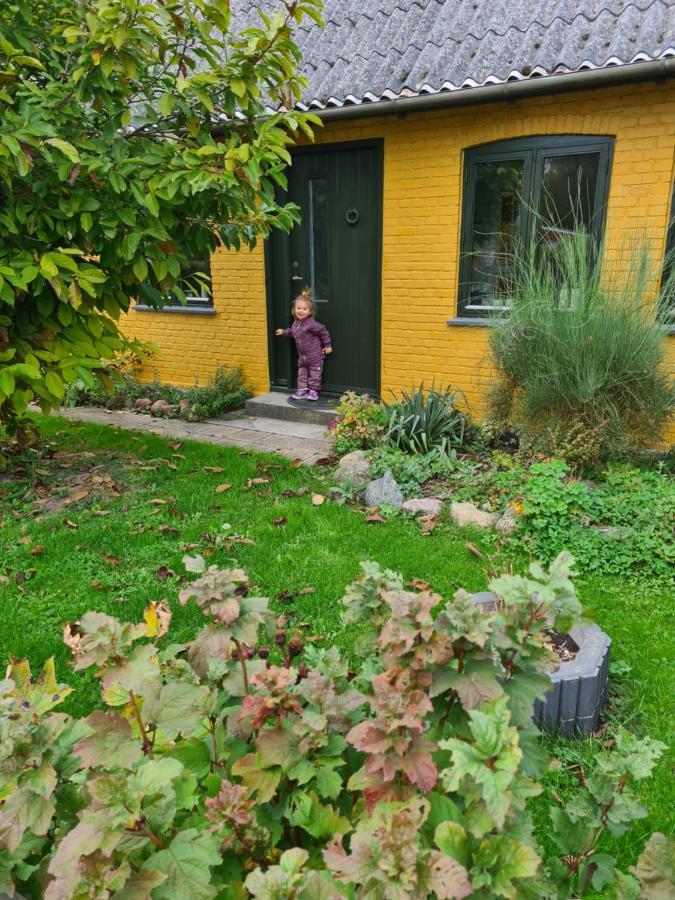 Inspiration Center Denmark, Bed & Breakfast มาริโบ ภายนอก รูปภาพ